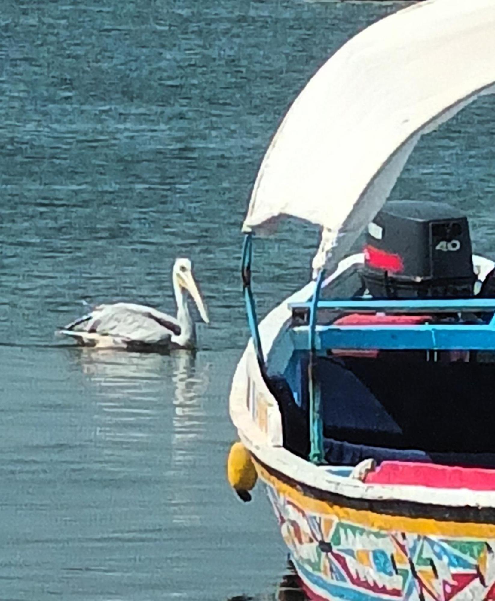 Appartamento L'Eden Saly Portudal Esterno foto