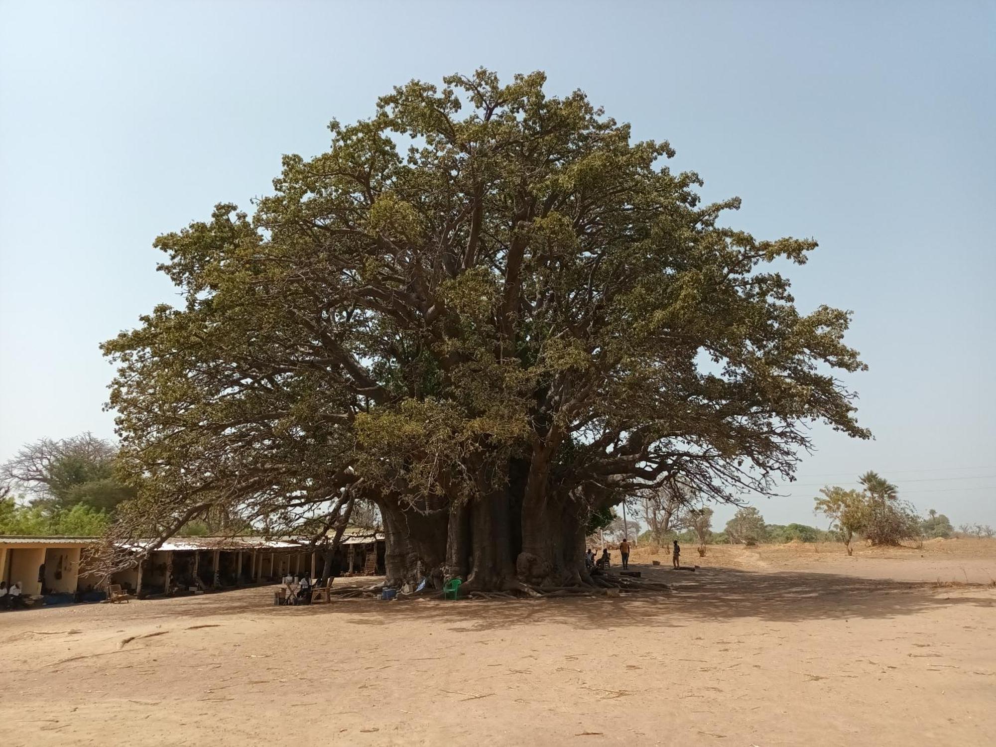 Appartamento L'Eden Saly Portudal Esterno foto