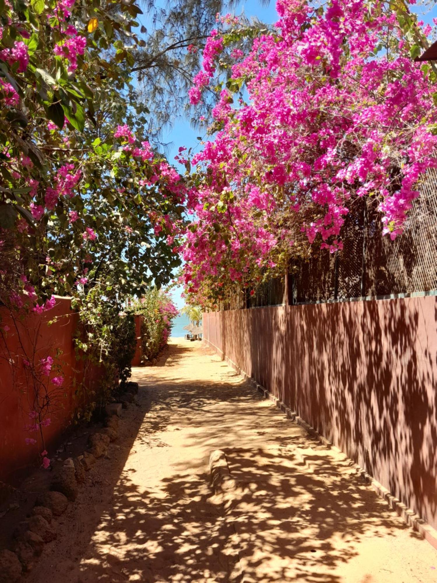 Appartamento L'Eden Saly Portudal Esterno foto